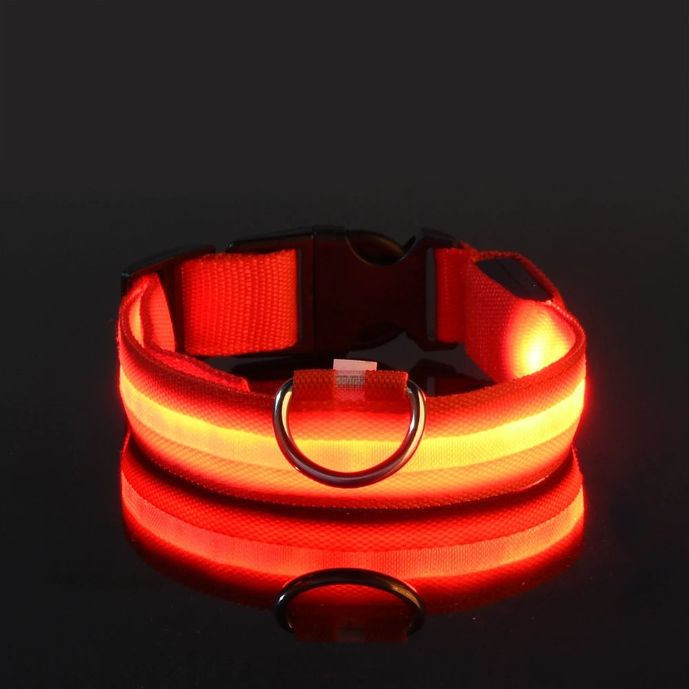 LED Glow in the Dark Dog Leash (Flashing Safety Collar)