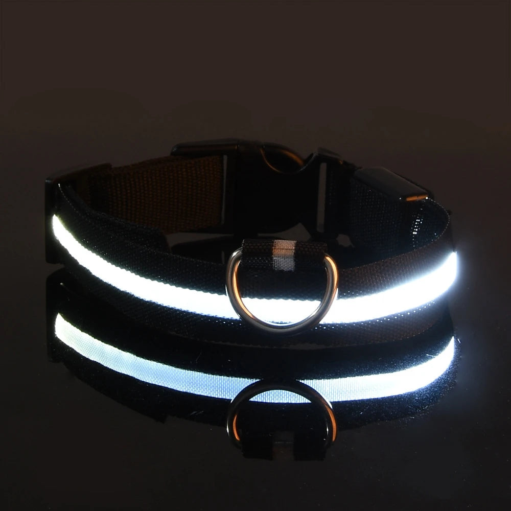LED Glow in the Dark Dog Leash (Flashing Safety Collar)