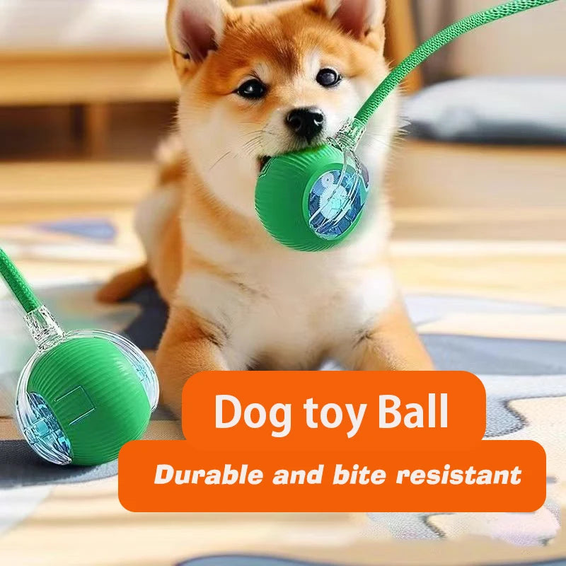 Smart Automatic Dog Ball Toy – Rechargeable Interactive Rolling Pet Toy