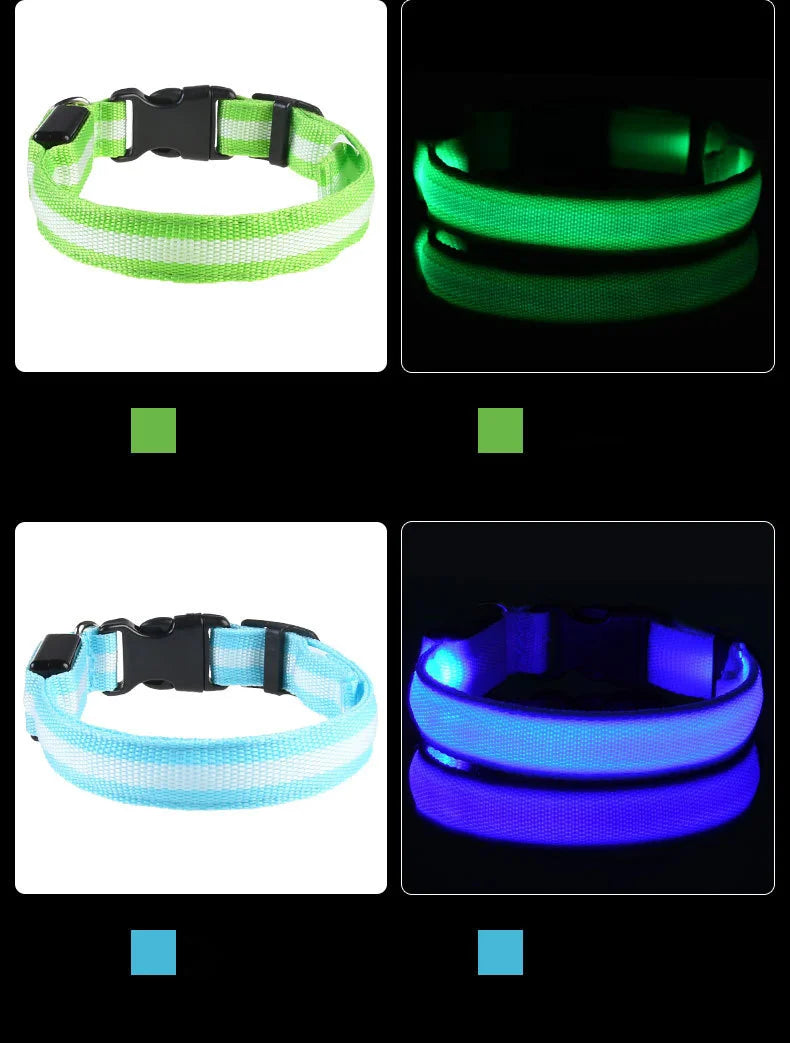 LED Glow in the Dark Dog Leash (Flashing Safety Collar)