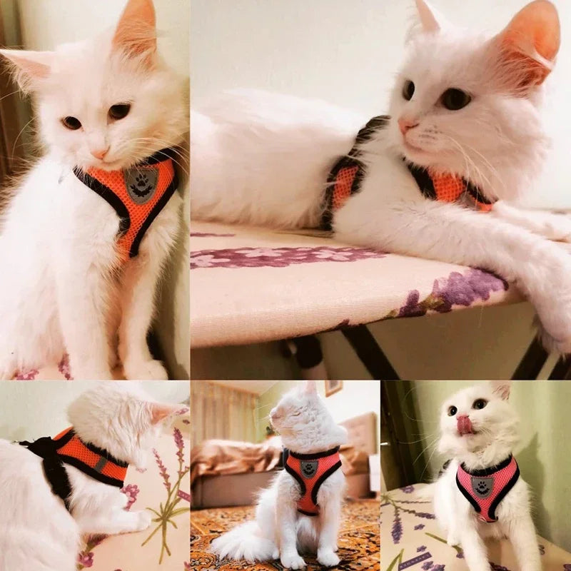 Adjustable Cat Harness Vest with Leash