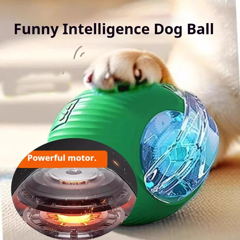 Smart Automatic Dog Ball Toy – Rechargeable Interactive Rolling Pet Toy
