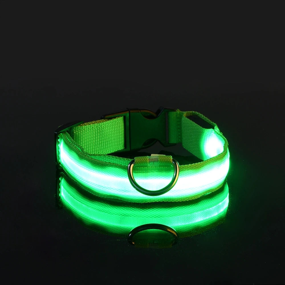 LED Glow in the Dark Dog Leash (Flashing Safety Collar)