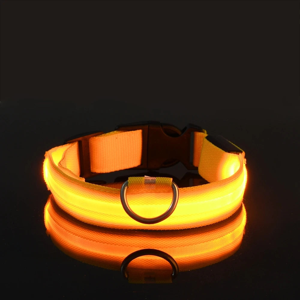 LED Glow in the Dark Dog Leash (Flashing Safety Collar)