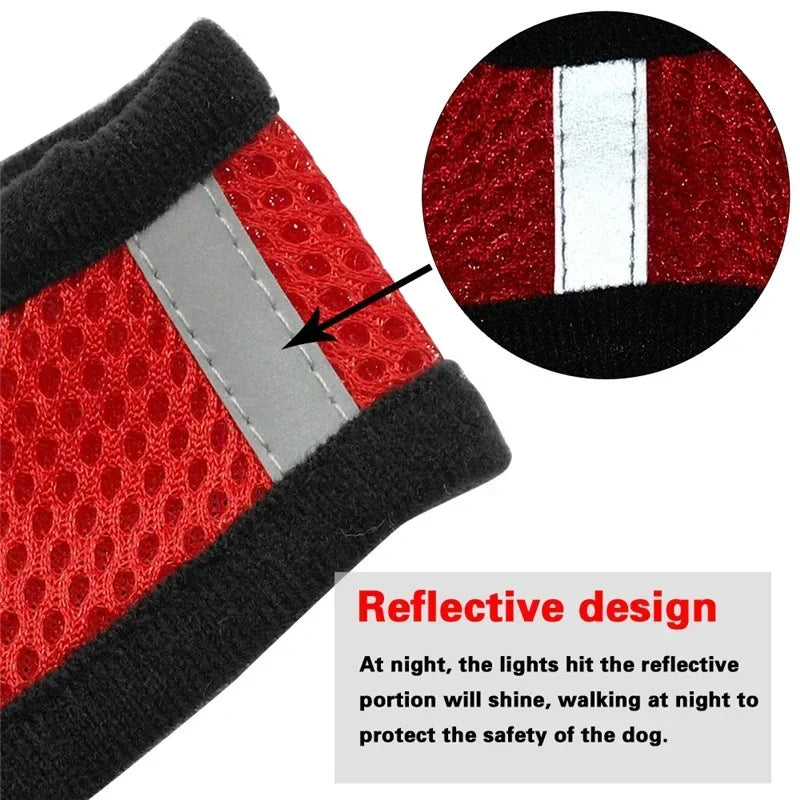 Adjustable Cat Harness Vest with Leash