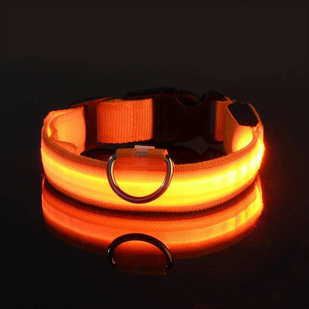 LED Glow in the Dark Dog Leash (Flashing Safety Collar)