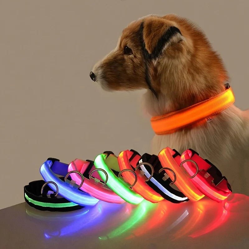 LED Glow in the Dark Dog Leash (Flashing Safety Collar)