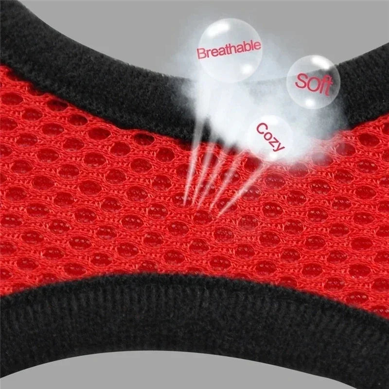 Adjustable Cat Harness Vest with Leash
