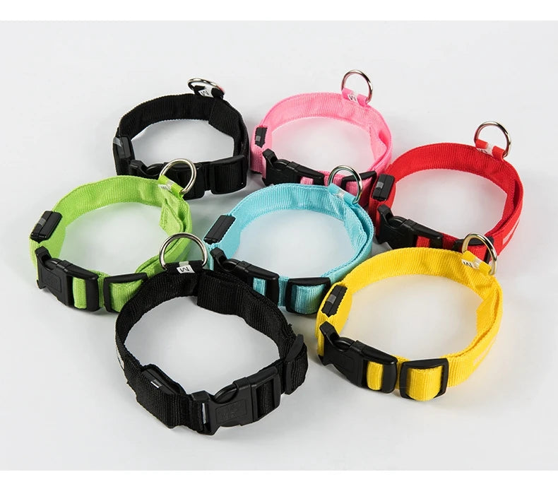 LED Glow in the Dark Dog Leash (Flashing Safety Collar)