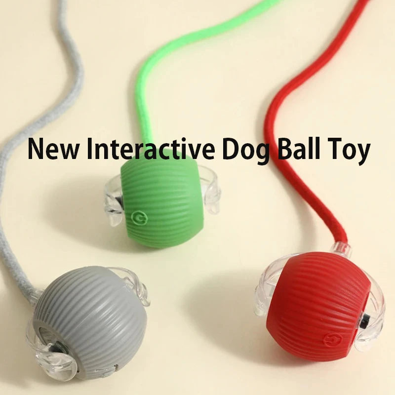 Smart Automatic Dog Ball Toy – Rechargeable Interactive Rolling Pet Toy