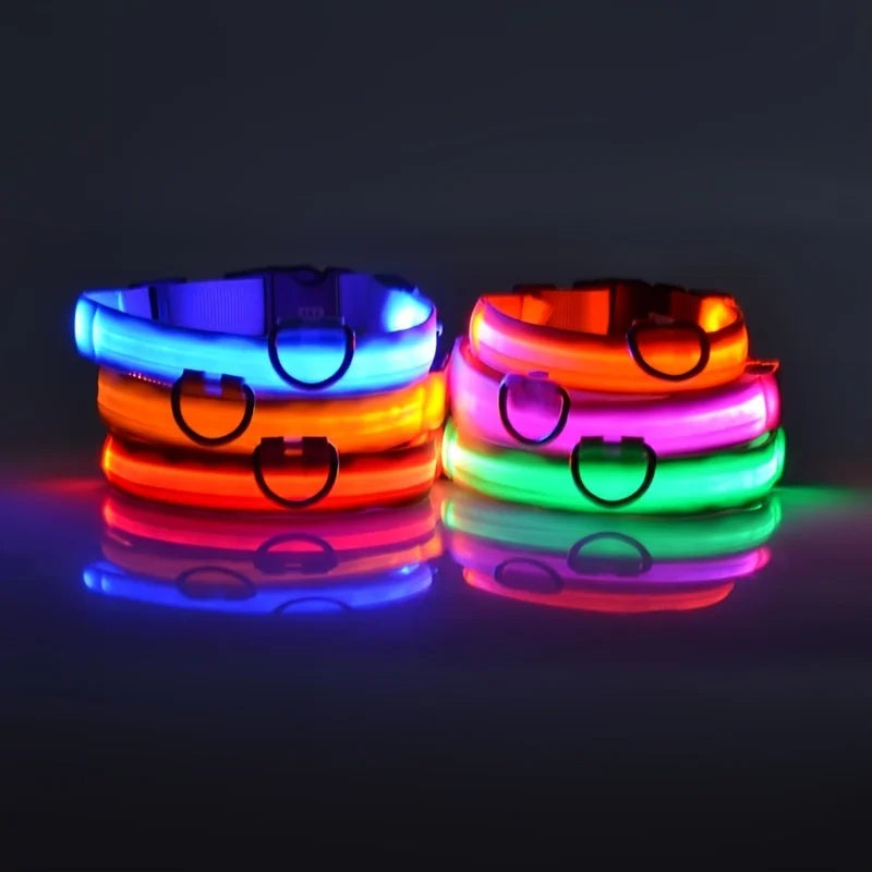 LED Glow in the Dark Dog Leash (Flashing Safety Collar)
