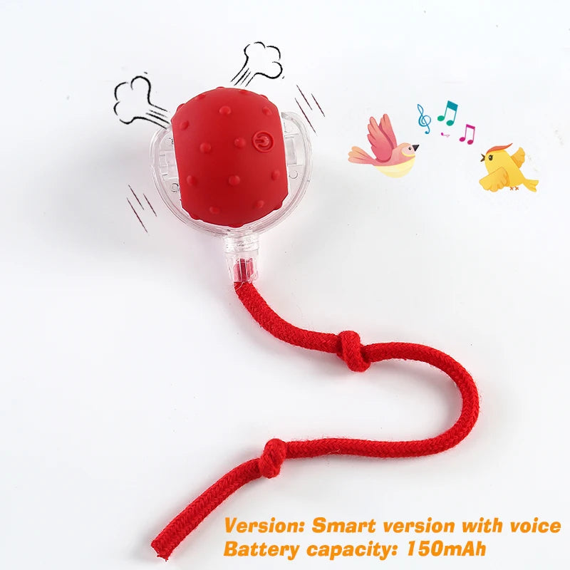 Smart Automatic Dog Ball Toy – Rechargeable Interactive Rolling Pet Toy