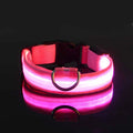 LED Glow in the Dark Dog Leash (Flashing Safety Collar)