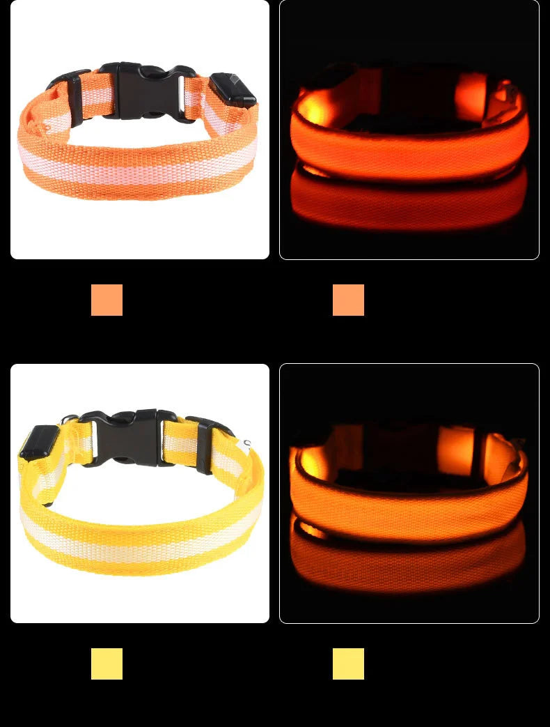 LED Glow in the Dark Dog Leash (Flashing Safety Collar)