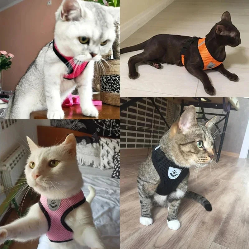 Adjustable Cat Harness Vest with Leash