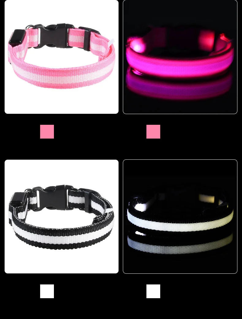 LED Glow in the Dark Dog Leash (Flashing Safety Collar)