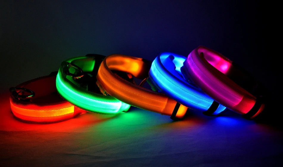 LED Glow in the Dark Dog Leash (Flashing Safety Collar)