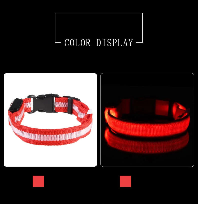 LED Glow in the Dark Dog Leash (Flashing Safety Collar)